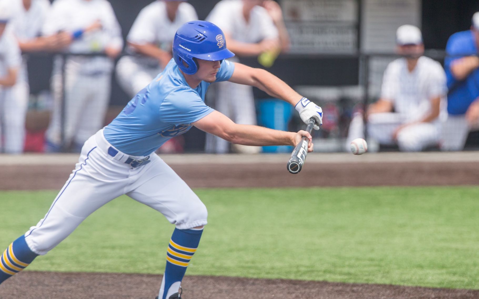 Borgia vs. Westminster baseball